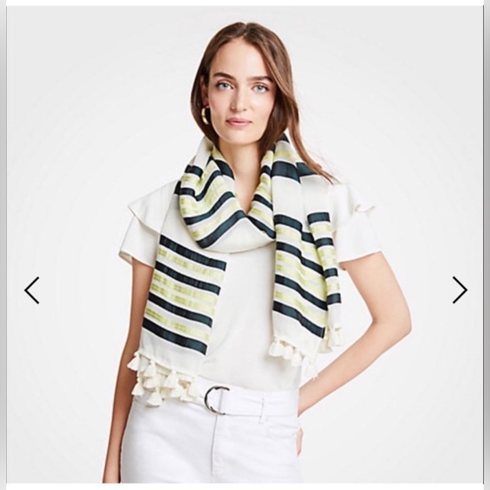 Ann Taylor Scarf Striped Tassels NWT